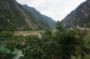 山间河谷绿意盎然风景