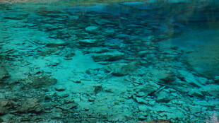 清澈海底的美丽景象