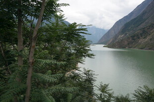 山间绿水畔的繁茂植被