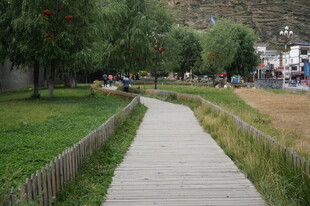 公园中的幽静木质小径