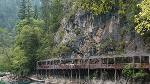 山间栈道 隐于葱郁林木间