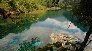 清澈秀丽的山间溪流景色