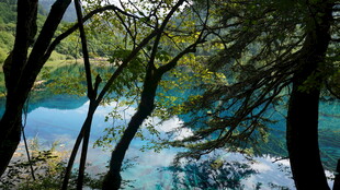 林间蓝湖 自然静谧之景