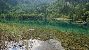 山间碧湖 自然清新美景