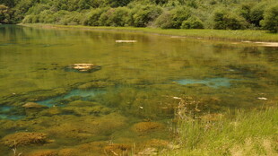 清澈河畔的自然美景