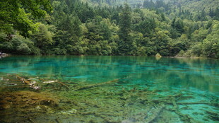 梦幻蓝绿的清澈山林湖泊