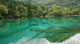 碧绿清澈的山间幽潭