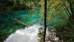 清澈幽美的林间碧绿湖水