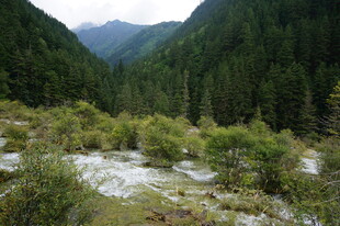 山间绿野 自然清新之景