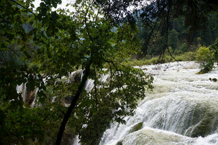 山间湍急瀑布与葱郁树木