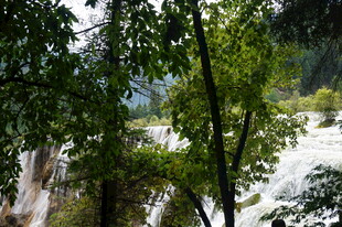 山林间湍急水流与绿树