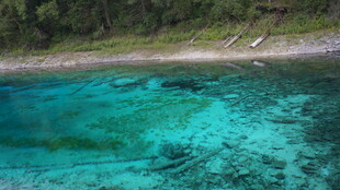 清澈见底的蓝绿色水域