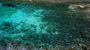 清澈见底的海底景象