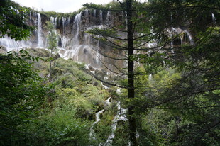 森林中的壮丽瀑布景观