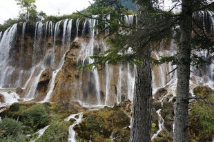森林中的壮美瀑布景观