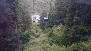 林间缆车穿梭于葱郁山林