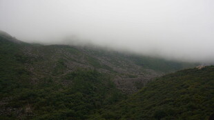 云雾缭绕的山峦景色