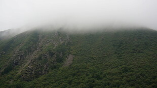 云雾缭绕的翠绿山峦