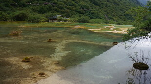 山间清澈溪流美景