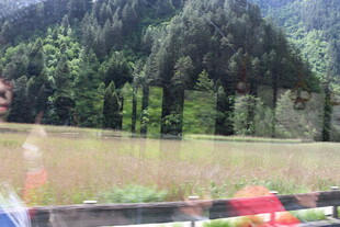 山林旁的开阔草地景观