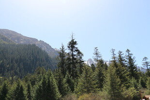 山林葱郁的秀丽自然景观