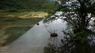 山间秀丽溪流景观