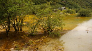 山间浅滩处的自然景致