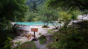 山林间的幽美清澈溪流