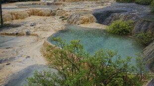 自然景观中的碧绿池潭