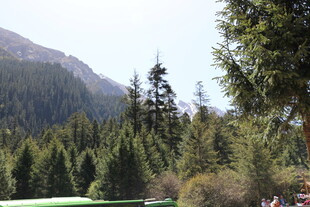 山林葱郁的自然美景