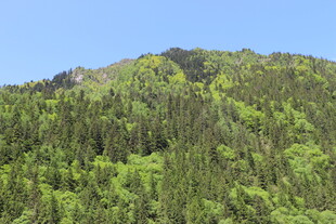 翠绿山峦 尽显自然之美