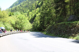 山间公路旁的宜人景色