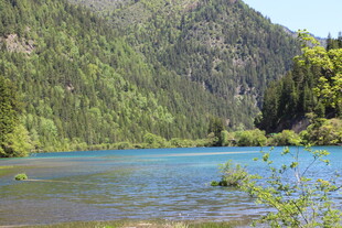 山间蓝湖 绿意环绕美景