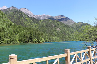 湖畔木栏边的秀丽山水景