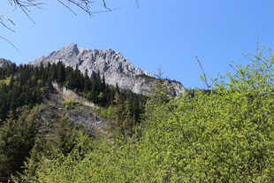 巍峨山峦伴葱郁植被