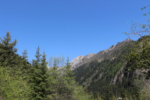 山林间的蓝天与葱郁树木