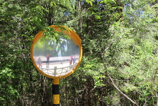 林间凸面反光交通警示镜