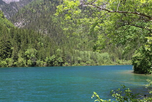 青山碧水间的秀丽湖泊