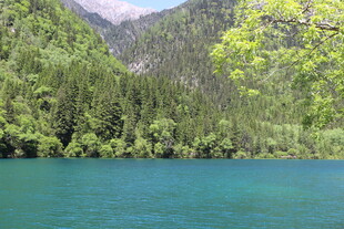 翠绿山林环绕的幽蓝湖水