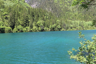 翠绿山林环绕的湛蓝湖水