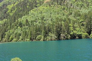 翠绿山林环绕的幽蓝湖水