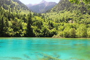 梦幻翠湖映山林