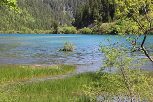 山间蓝湖 绿意环绕景致美