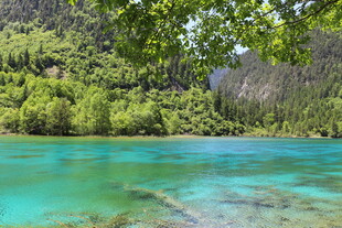 碧绿湖水与葱郁山林美景