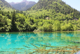 九寨沟绝美清澈蓝绿色湖水
