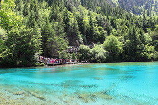 梦幻蓝湖旁的葱郁山林