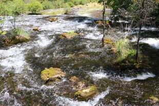 山间溪流潺潺 石木相伴