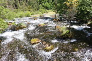 山间溪流潺潺 景色宜人
