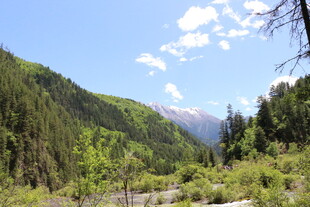 山间绿野 自然风光如画