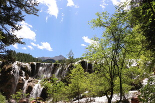 山间瀑布旁的葱郁景致